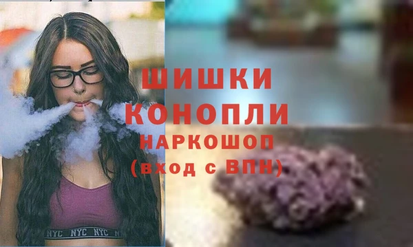 сатива Новокубанск