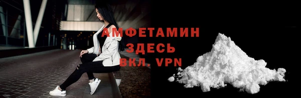 сатива Новокубанск