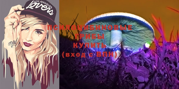 сатива Новокубанск