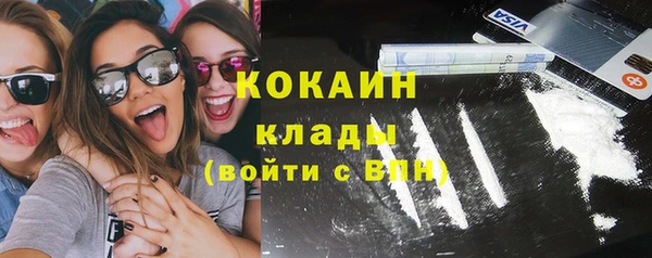 сатива Новокубанск