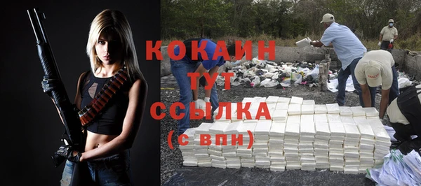 сатива Новокубанск