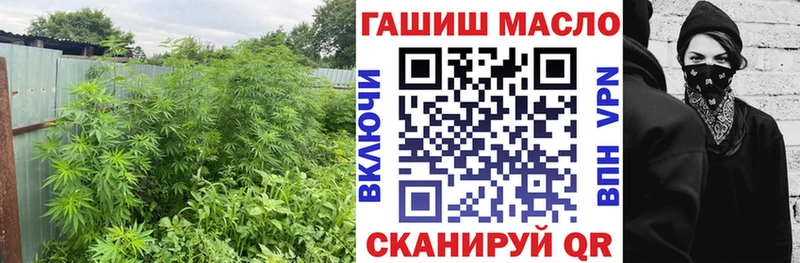ТГК вейп с тгк  закладка  Кадников 