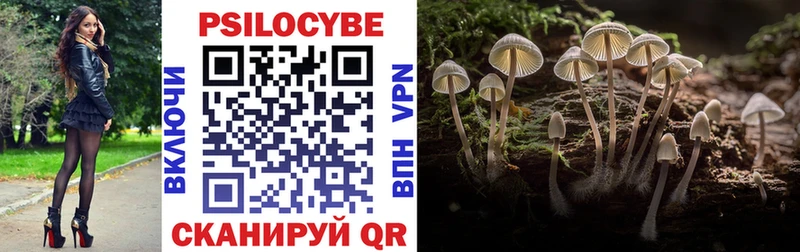 Псилоцибиновые грибы мухоморы  купить   Кадников 
