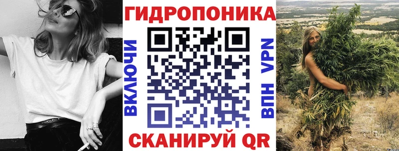 Шишки марихуана семена  как найти наркотики  Кадников 